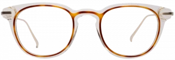 Björn 061 gold C061 gold = havanna on transparent, golden metal temples